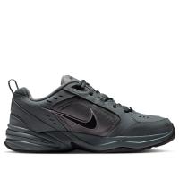 Кроссовки мужские NIKE AIR MONARCH IV серый 415445-020