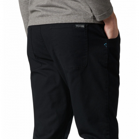Брюки мужские COLUMBIA Flex ROC™ Lined Pant чёрный