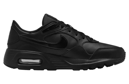 Кроссовки мужские NIKE AIR MAX SC LEA черный DH9636-001
