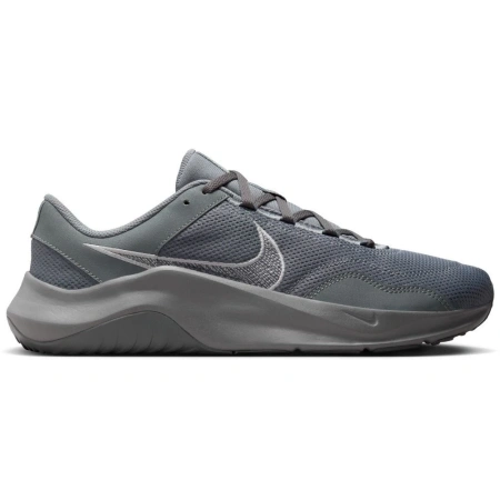 Кроссовки мужские NIKE LEGEND ESSENTIAL 3 серый DM1120-012