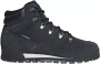 Кроссовки мужские ADIDAS TERREX SNOWPITCH C.RDY черный IH3663