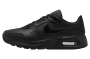 Кроссовки мужские NIKE AIR MAX SC LEA черный DH9636-001