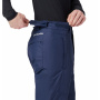 Брюки утепленные мужские Columbia Bugaboo™ IV Pant темно-синий 1864312-464